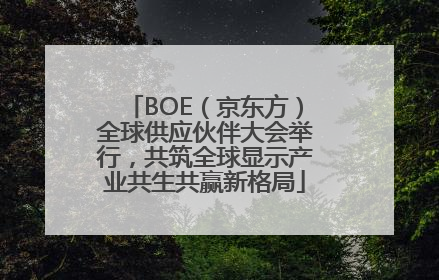 BOE（京东方）全球供应伙伴大会举行，共筑全球显示产业共生共赢新格局