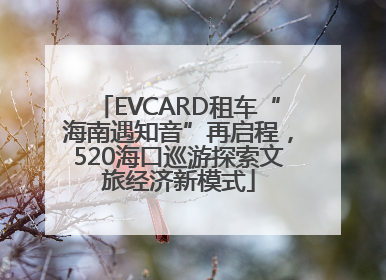 EVCARD租车“海南遇知音”再启程，520海口巡游探索文旅经济新模式