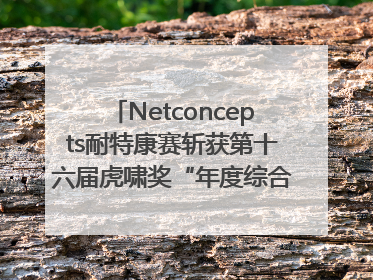 Netconcepts耐特康赛斩获第十六届虎啸奖“年度综合服务商”大奖